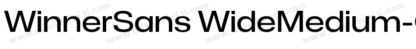 WinnerSans WideMedium字体转换